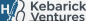 Kebarick Ventures logo